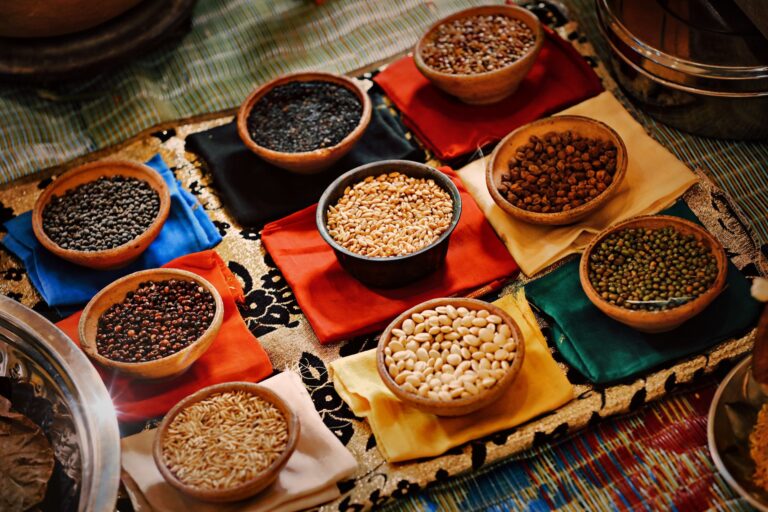 Haricots saveur : un concentré de nutrition et de gourmandise