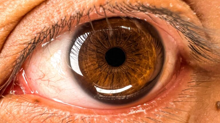 La Fovéa Centralis : Anatomie, Fonction et Pathologies de la Zone de Vision Centrale