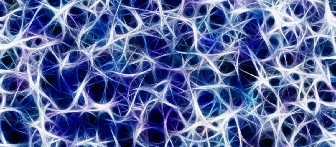 La moelle épinière : anatomie, fonctions et pathologies