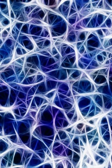 La moelle épinière : anatomie, fonctions et pathologies