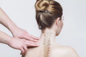 La thyroïde : anatomie, fonctionnement et troubles fréquents