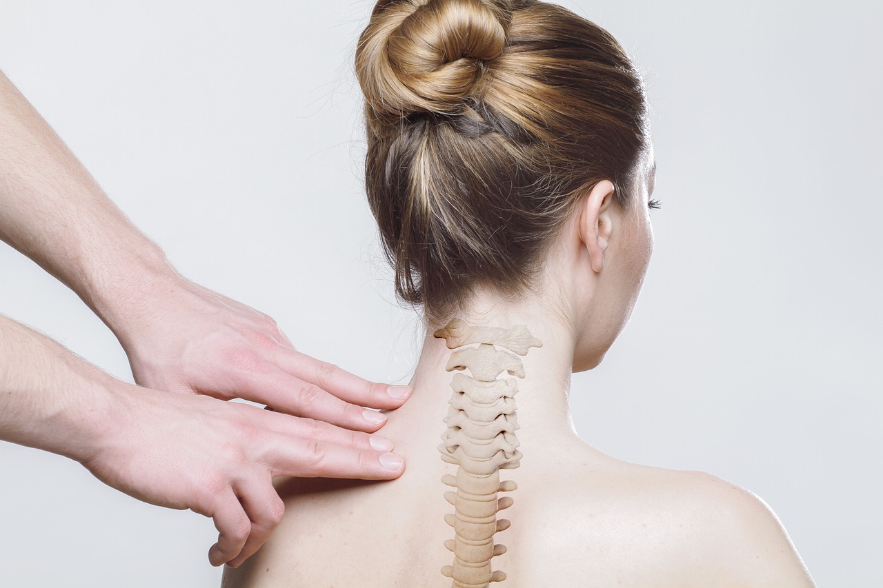 La thyroïde : anatomie, fonctionnement et troubles fréquents