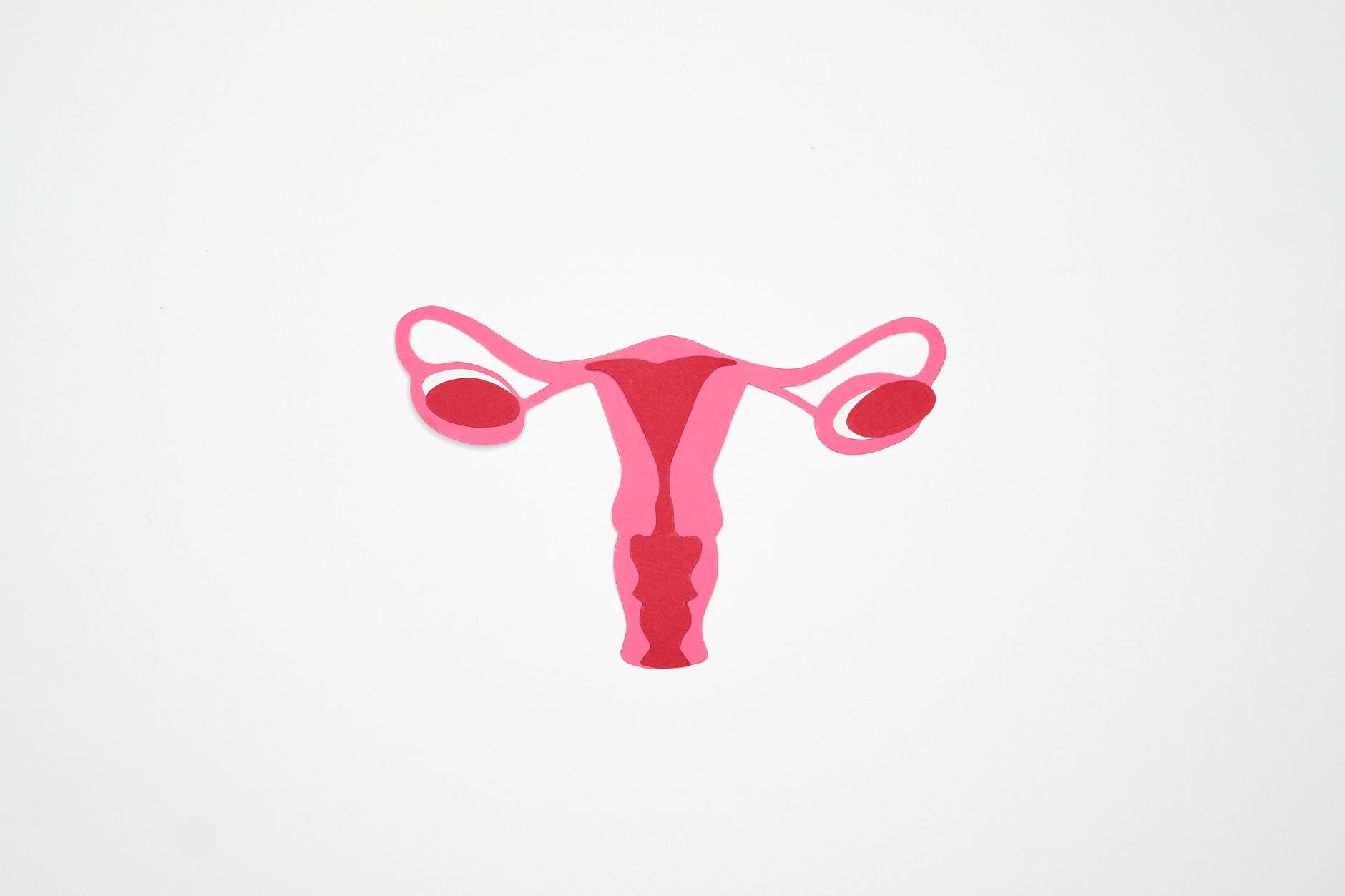 La trompe de Fallope : anatomie, fonctions et pathologies