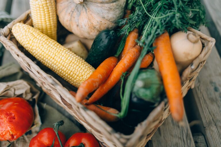 L&rsquo;alimentation anti-inflammatoire : principes et bienfaits pour la santé