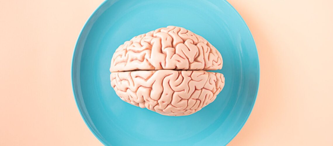 A human brain model placed on a blue plate, viewed from above against a pastel background.