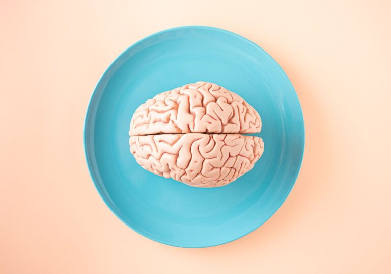 Le cerveau et ses fonctions : anatomie et mécanismes essentiels