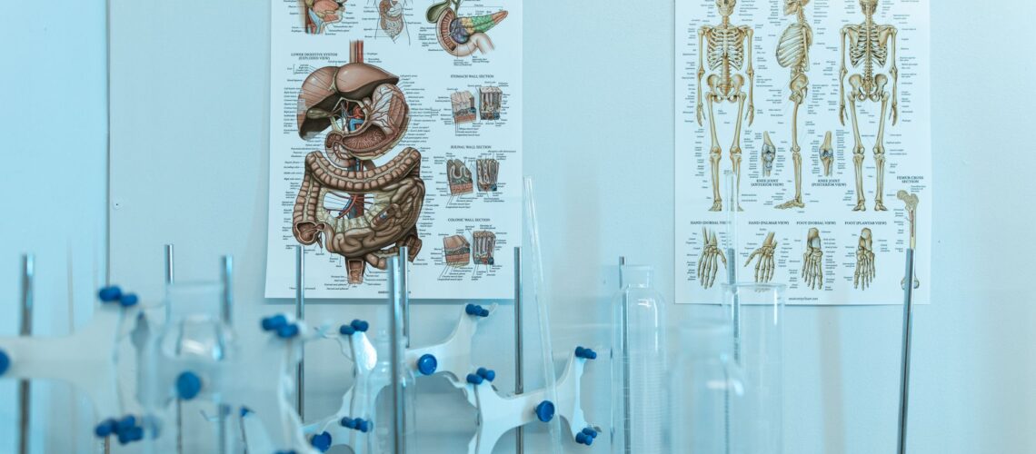 Colorful anatomy posters with laboratory apparatus showcasing human systems.