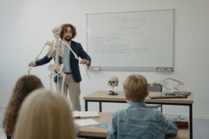 Le squelette osseux humain : structure, fonctions et santé des os