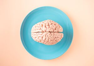 Le système nerveux central : anatomie, fonctions et protection