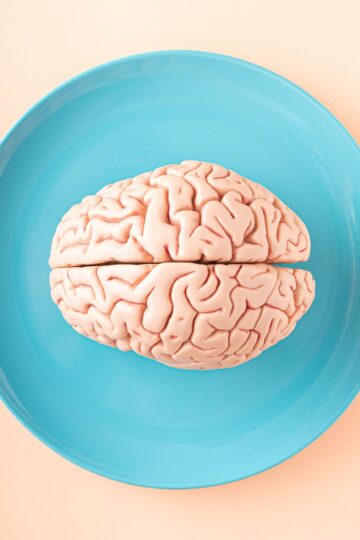 A human brain model placed on a blue plate, viewed from above against a pastel background.