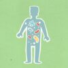 From above of cutout cardboard illustration of person with different bacteria spreading in body on green background