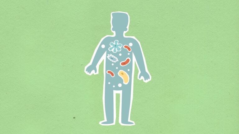Les probiotiques et le microbiote : un duo essentiel pour la santé