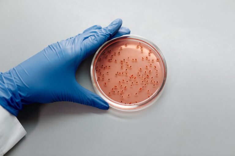 Listeria monocytogenes : comprendre la bactérie et prévenir la listériose