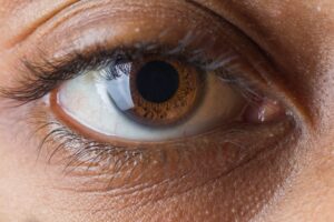 L'œil et la vision : anatomie et fonctionnement de l'appareil visuel