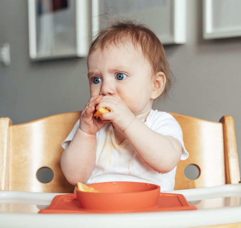 Premiers aliments du bébé : guide complet de la diversification alimentaire