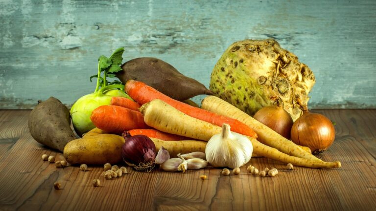 Régime sans gluten pédiatrique : guide complet pour les parents