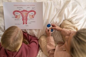 Vésicule séminale : anatomie, fonction et pathologies