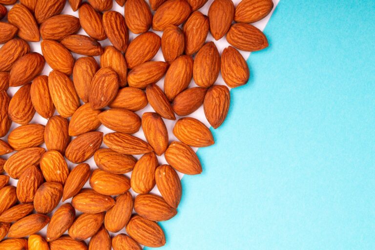 Vitamine E et protection cellulaire chez l&rsquo;enfant : un bouclier antioxydant essentiel