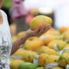 Elderly woman selecting ripe mango at a vibrant outdoor market stall, showcasing fresh produce.