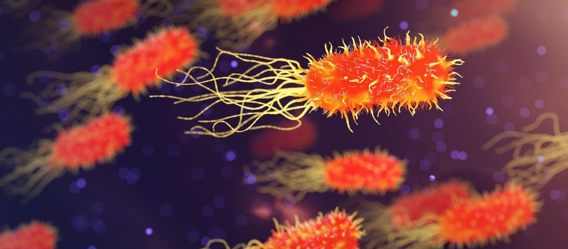 Actinomadura : caractéristiques, infections et prise en charge