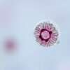 Aerococcus : tout savoir sur cette bactérie méconnue responsable d'infections urinaires