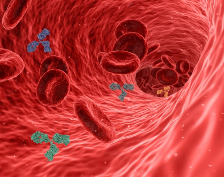 Agammaglobulinémie : comprendre cette maladie rare du système immunitaire