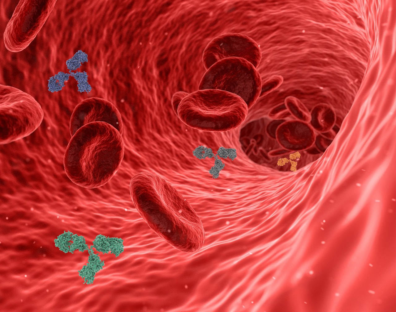 Agammaglobulinémie : comprendre cette maladie rare du système immunitaire