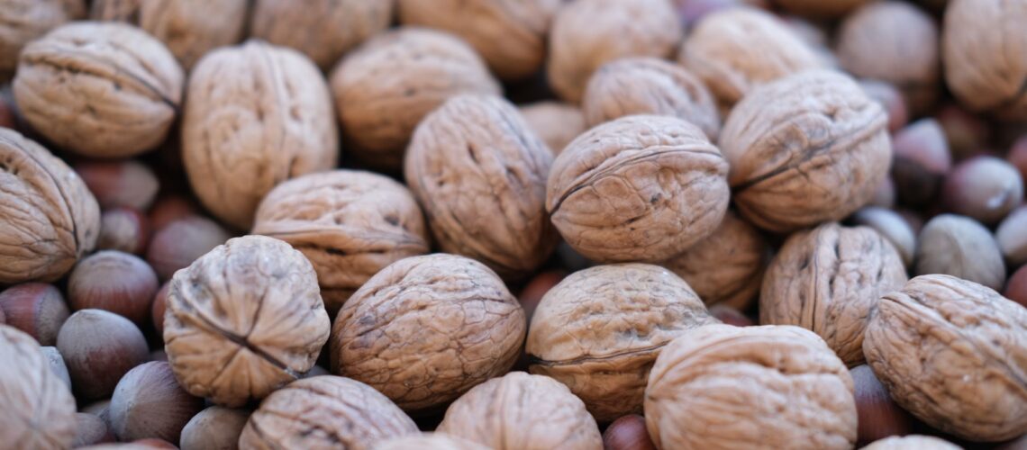 A detailed shot of walnuts and hazelnuts showcasing textures and natural tones.