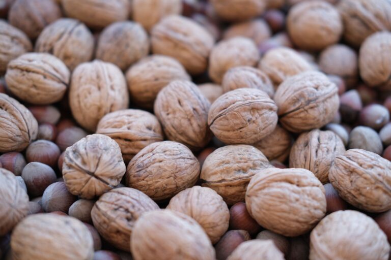 Allergie aux fruits à coque : causes, symptômes, diagnostic et prise en charge