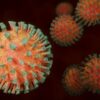 Alphaherpesvirus : tout comprendre sur cette famille de virus pathogènes