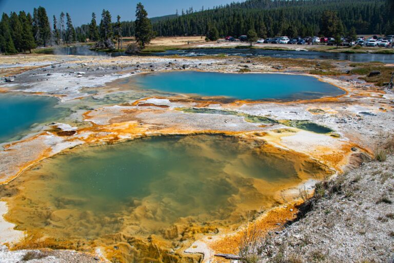 Anoxybacillus : tout savoir sur cette bactérie thermophile extrêmophile