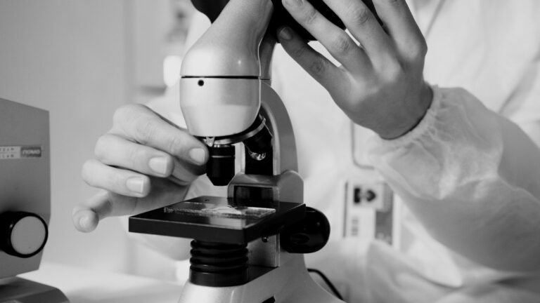 Aspergillus fumigatus : pronostic, facteurs de risque et espérance de vie