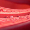 Aspirine en prévention cardiovasculaire : un anticoagulant à utiliser avec précaution