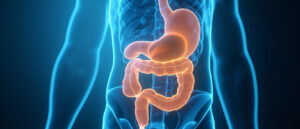 Bézoard : causes, symptômes, diagnostic et traitements