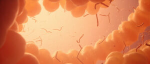 Bifidobacterium : rôle, bienfaits et utilisations de cette bactérie essentielle