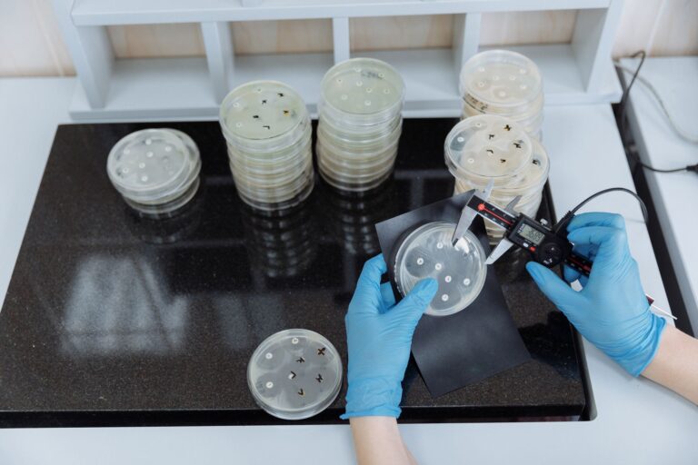 Bordetella hinzii : bactérie opportuniste émergente, caractéristiques et prise en charge
