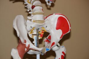 Bourse trochanterienne : anatomie, fonctions et pathologies associées