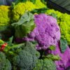 Colorful assortment of fresh broccoli and purple cauliflower at a market. Perfect for healthy food concepts.