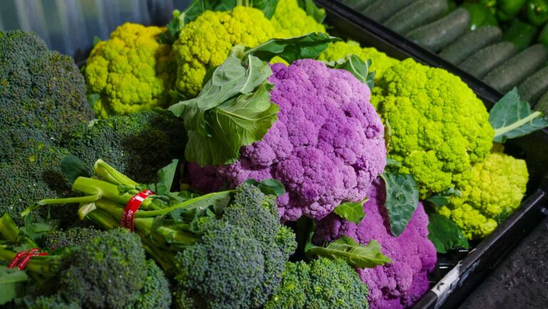 Brocoli et calcium : un allié nutritionnel pour la réhabilitation osseuse