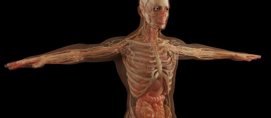 Cancer des glandes salivaires : causes, symptômes, diagnostic et traitements