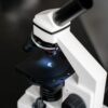 Close-up view of a laboratory microscope with selective focus, ideal for scientific use.