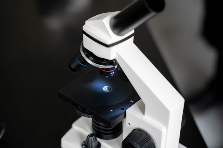 Candida auris : tout comprendre sur ce champignon résistant et redoutable