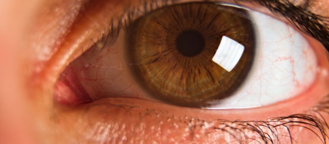 Detailed close-up of a brown eye showcasing the iris, pupil, and eyelashes.