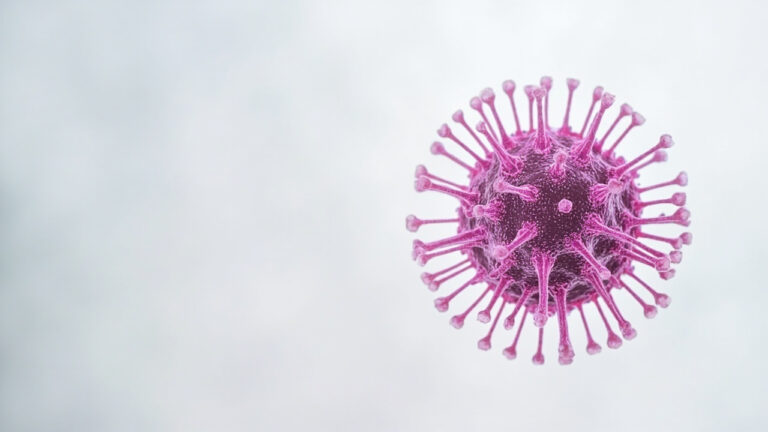 Cytomégalovirus (CMV) : tout savoir sur ce virus répandu