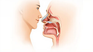 Dysfonction sinusale : causes, symptômes et traitements efficaces