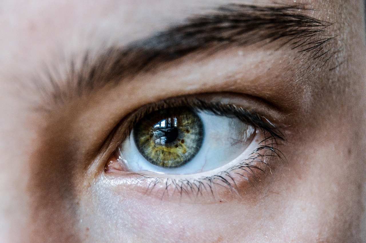 Dystrophie maculaire : comprendre, diagnostiquer et vivre avec cette maladie oculaire