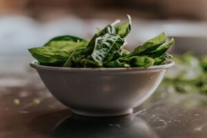 Épinards et fer : pronostic, bienfaits et conseils nutritionnels