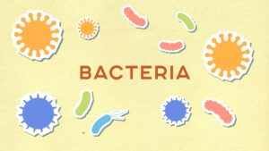 Escherichia coli : comprendre les complications graves de l'infection