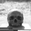 Foramen spinosum : anatomie, contenu et importance clinique