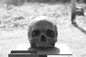 Foramen spinosum : anatomie, contenu et importance clinique